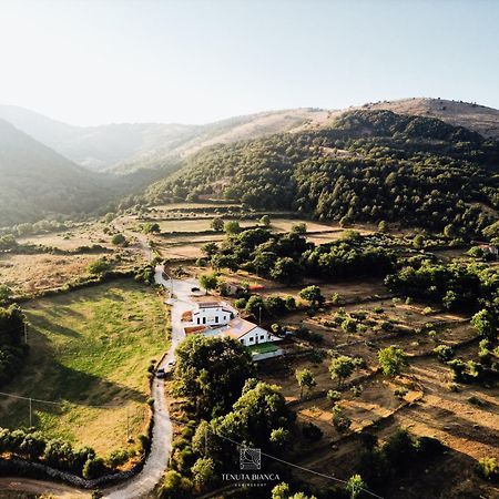 Tenuta Bianca Agriresort Sanza 外观 照片